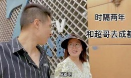 独家爆料官网 临朐网红大玲子事件,独家揭秘背后真相